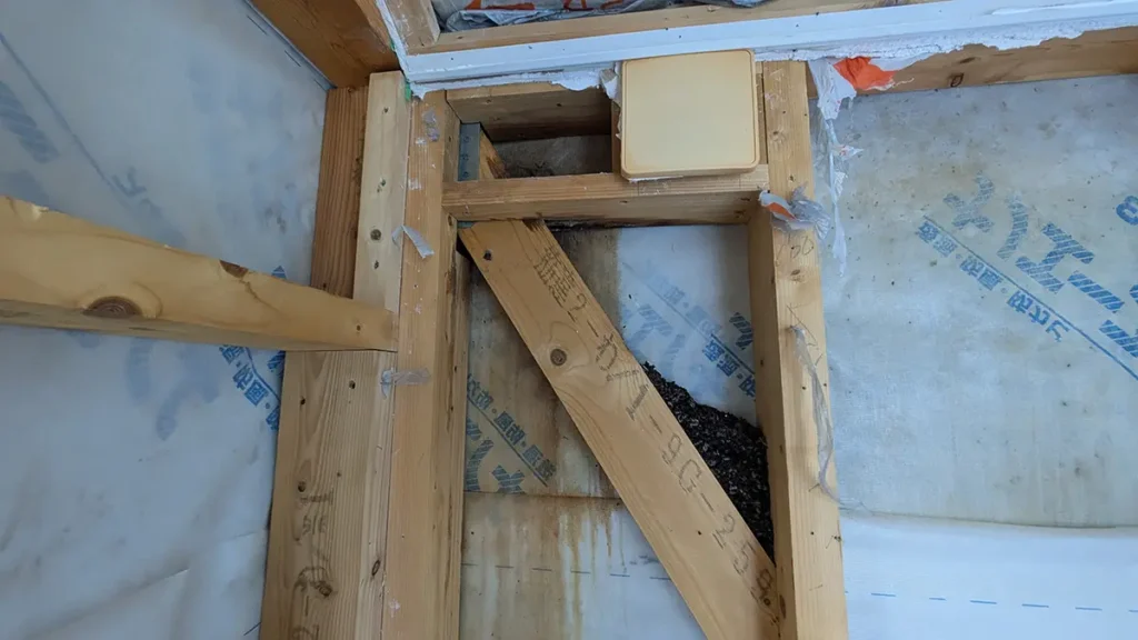 長野県箕輪町の住宅で、コウモリ侵入による悪臭問題を解決するために内壁を解体し、壁の内部に堆積した大量の糞やシミを確認・清掃している現場の一次情報写真