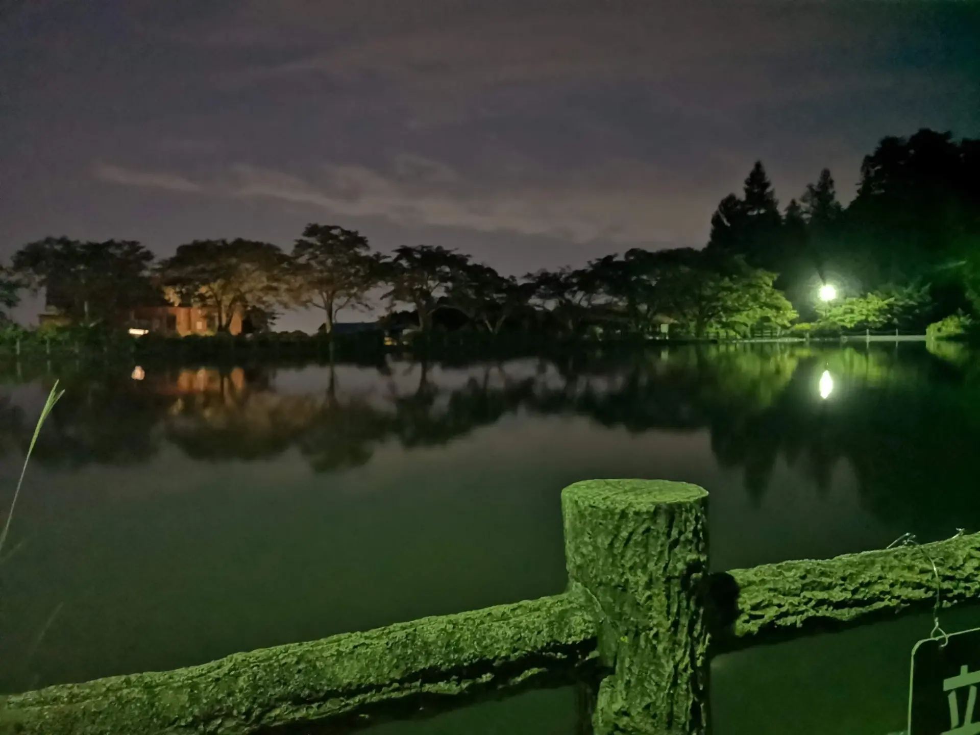 夜の池に街灯や木々が反射している静かな風景の写真