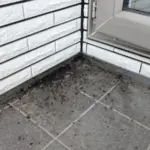 01 chino nagano bat droppings balcony