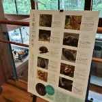 コウモリフェスティバル2025の展示物「上高地のコウモリ」紹介パネルの写真