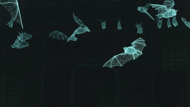 黒背景に青白い線画（ワイヤーフレーム）で描かれた、飛行中や静止中の複数のコウモリのイメージ。コウモリの超音波ソナーによる空間認識をデジタル的に視覚化した様子。