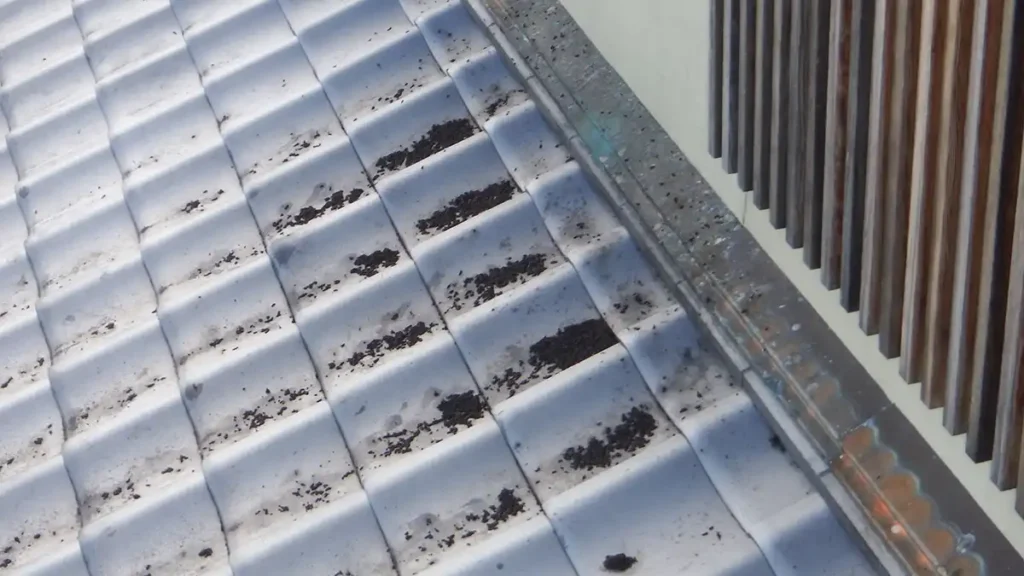 【長野県の施工実績】安曇野市穂高|木造住宅の妻飾り通気から天井裏へ侵入していたコウモリを防除した事例 1 長野県安曇野市の住宅におけるコウモリ被害。屋根瓦の上に大量のコウモリの糞が落ちている様子。