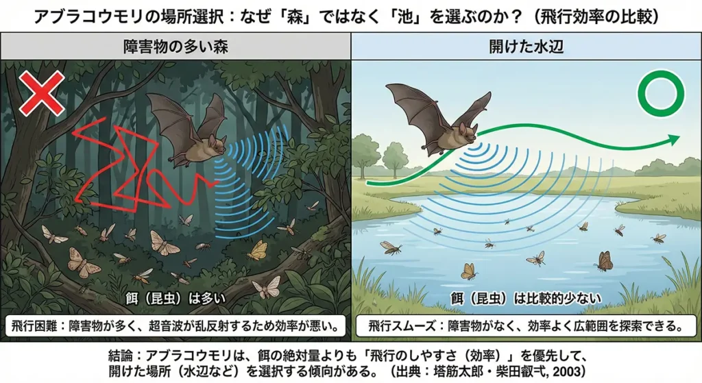 アブラコウモリ(イエコウモリ)の生態|家に来る理由・行動パターン・基本データ 12 障害物の多い「森」と開けた「水辺」での飛行効率を比較し、アブラコウモリが場所を選ぶ基準を説明するイラスト