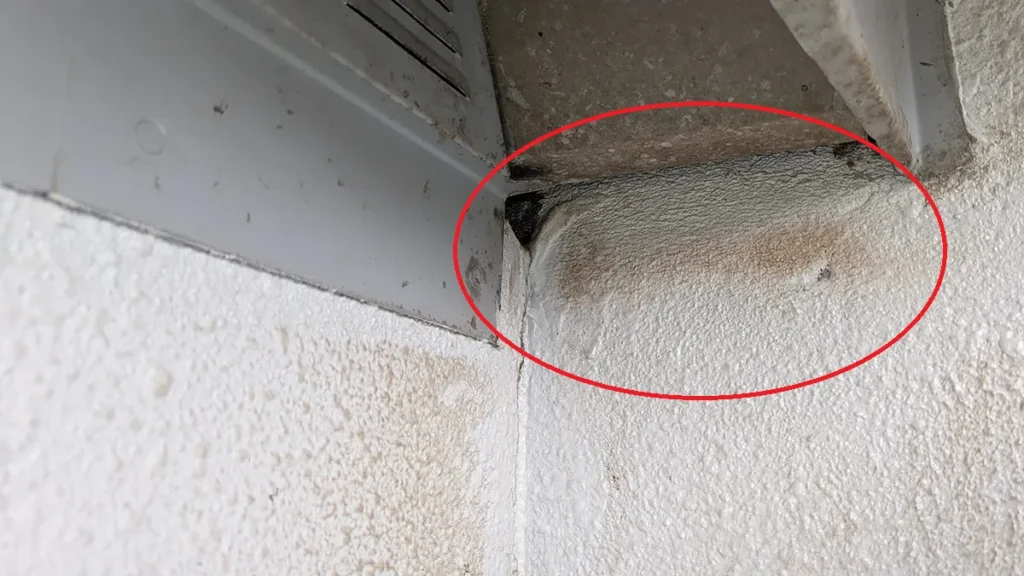 コウモリの臭い・匂いは情報の記憶だった|なぜ毎日糞掃除しても戻るのか?論文から紐解く理由と対策 30 長野県麻績村の住宅外壁、屋根付近の拡大写真。赤丸で囲まれた入隅部分にアブラコウモリ特有の茶色いアブラ汚れ(ラビングサイン)が付着しており、そのすぐ左にある暗い隙間が出入り口として機能している様子。