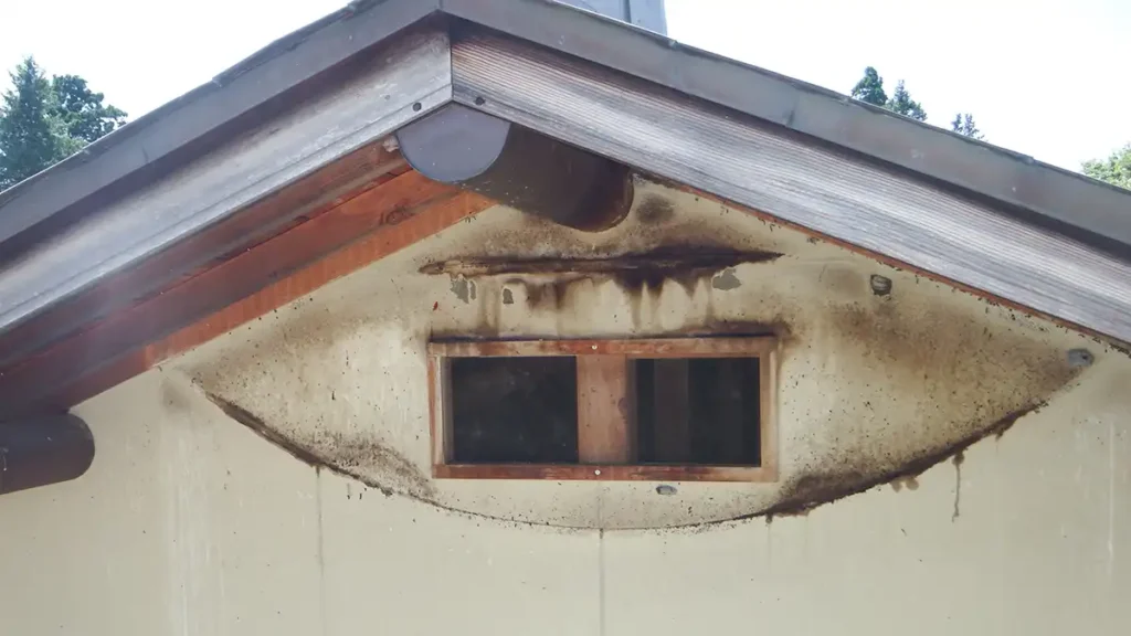 【長野県の施工実績】安曇野市穂高|木造住宅の妻飾り通気から天井裏へ侵入していたコウモリを防除した事例 5 長野県安曇野市の住宅の外壁。妻飾りを撤去した後の壁面に付着した、長年のコウモリの糞尿による黒ずみと汚染状況。