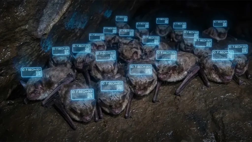 コウモリの臭い・匂いは情報の記憶だった|なぜ毎日糞掃除しても戻るのか?論文から紐解く理由と対策 29 群れをなすコウモリのイメージ図。各コウモリの頭上に個体識別用のIDとQRコードがデジタル表示のように浮かび上がっており、匂いによって互いを識別している様子を視覚的に表現している。