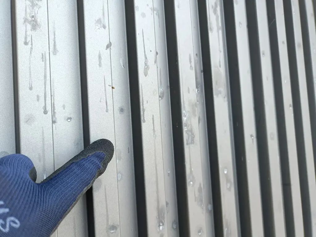 コウモリの尿で外壁塗装が白く汚れる原因|駆除対策の専門家が語る科学的メカニズム 9 ガルバリウム鋼板の外壁に付着し、白く結晶化したコウモリの尿。指で示している箇所には、尿成分によって塗膜が変質したエッチングの痕跡が物理的事実として確認できる。