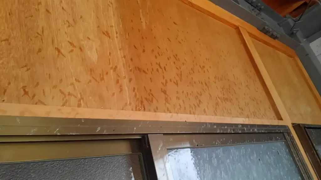 コウモリの尿で外壁塗装が白く汚れる原因|駆除対策の専門家が語る科学的メカニズム 14 安曇野市のガレージ。木にしみた尿とガラスで白く固まったアブラコウモリ尿の比較。