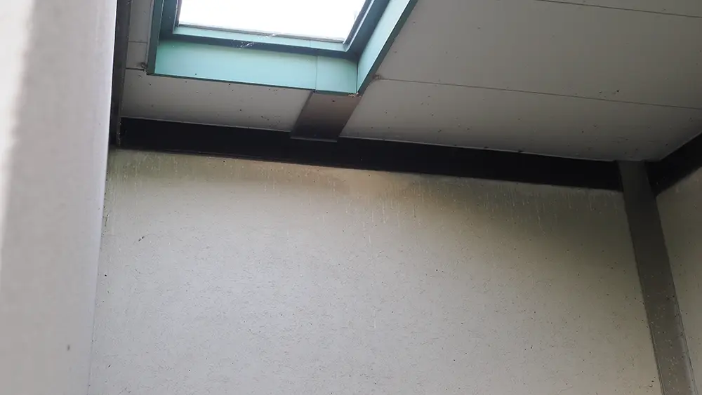 コウモリの尿で外壁塗装が白く汚れる原因|駆除対策の専門家が語る科学的メカニズム 6 長野県安曇野市で撮影。建物の軒下に付着した、アブラコウモリの尿による白い筋状の汚れ。