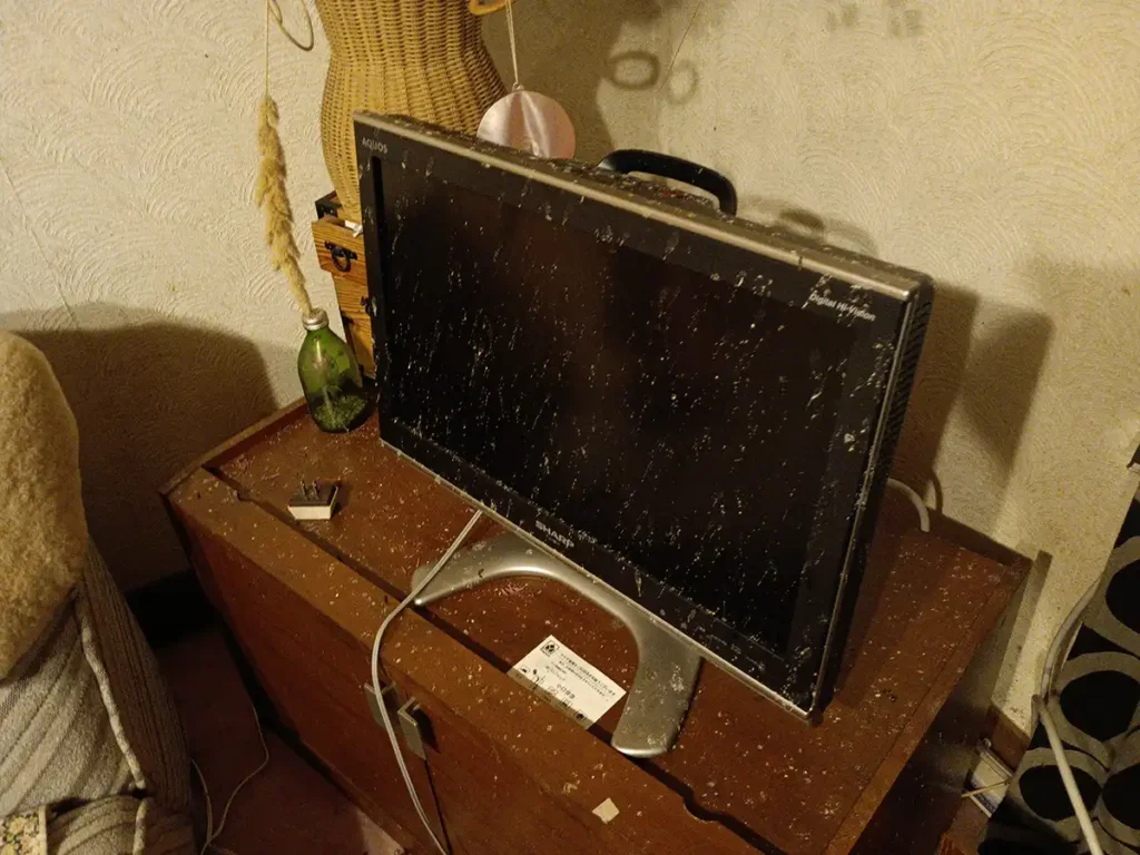 コウモリの尿で外壁塗装が白く汚れる原因|駆除対策の専門家が語る科学的メカニズム 15 長野県富士見町の住宅。テレビの画面に付着して白く固まったコウモリの尿。