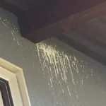 コウモリの尿で外壁塗装が白く汚れる原因|駆除対策の専門家が語る科学的メカニズム 9 長野県内の住宅。濃いグレーの外壁に白く垂れ下がった、アブラコウモリの尿による結晶汚れ。