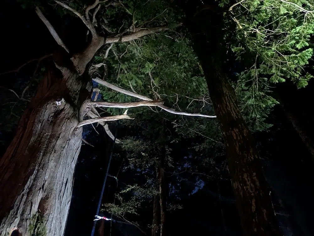 コウモリの鳴き声(ソーシャルコール)とは何か?|専門家が教える定義と現場考察シリーズ3 8 nagano kamikochi bat research fieldwork