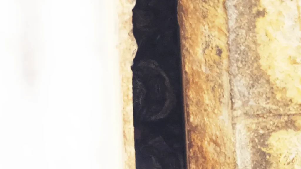 高架橋のコンクリートの隙間内部を望遠レンズで捉えた拡大写真。暗い隙間の奥に、黒い塊となった複数のコウモリが密集して休んでいる。