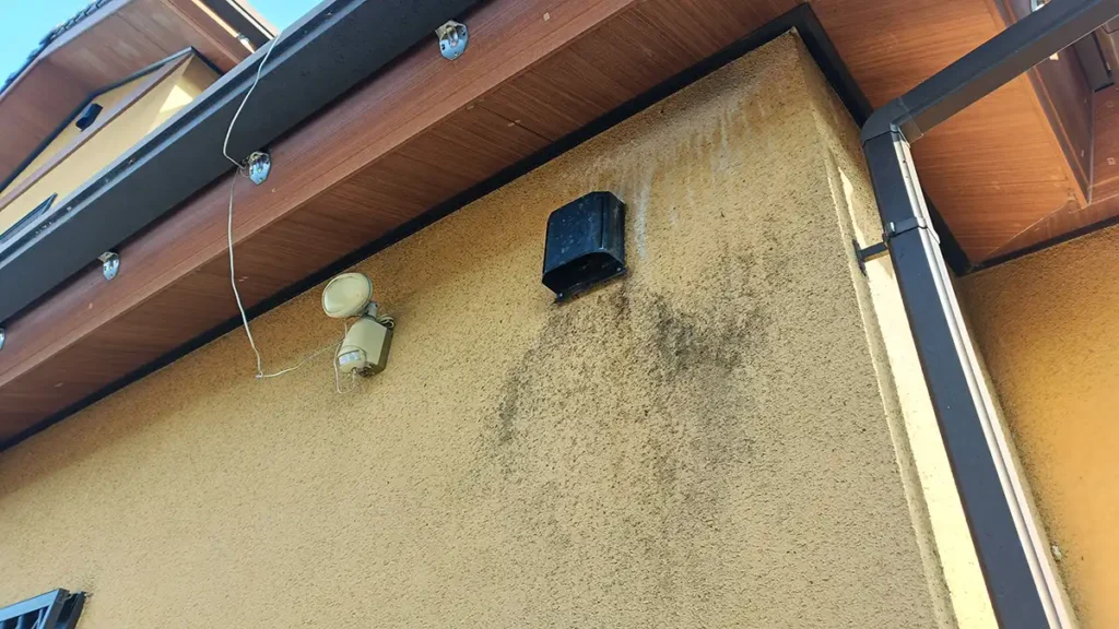 【長野県の施工実績】上田市塩田平|外壁通気口から10年続いた100頭のコウモリ侵入住宅を防除した事例 1 長野県上田市塩田平の住宅外壁に付着したアブラコウモリの尿による白いシミと汚れ