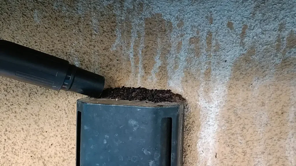 【長野県の施工実績】上田市塩田平|外壁通気口から10年続いた100頭のコウモリ侵入住宅を防除した事例 4 上田市のコウモリ駆除現場で換気ガラリに溜まった大量の糞をホースで除去する様子