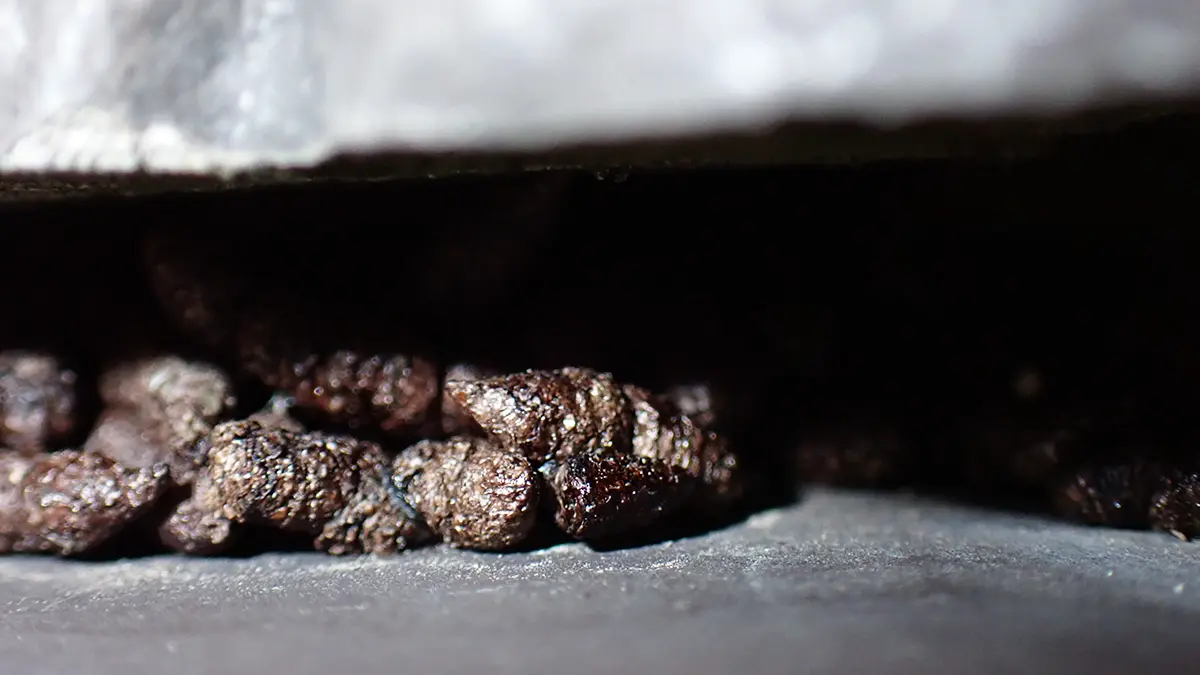 飯田市の家屋の隙間に溜まったコウモリのフン