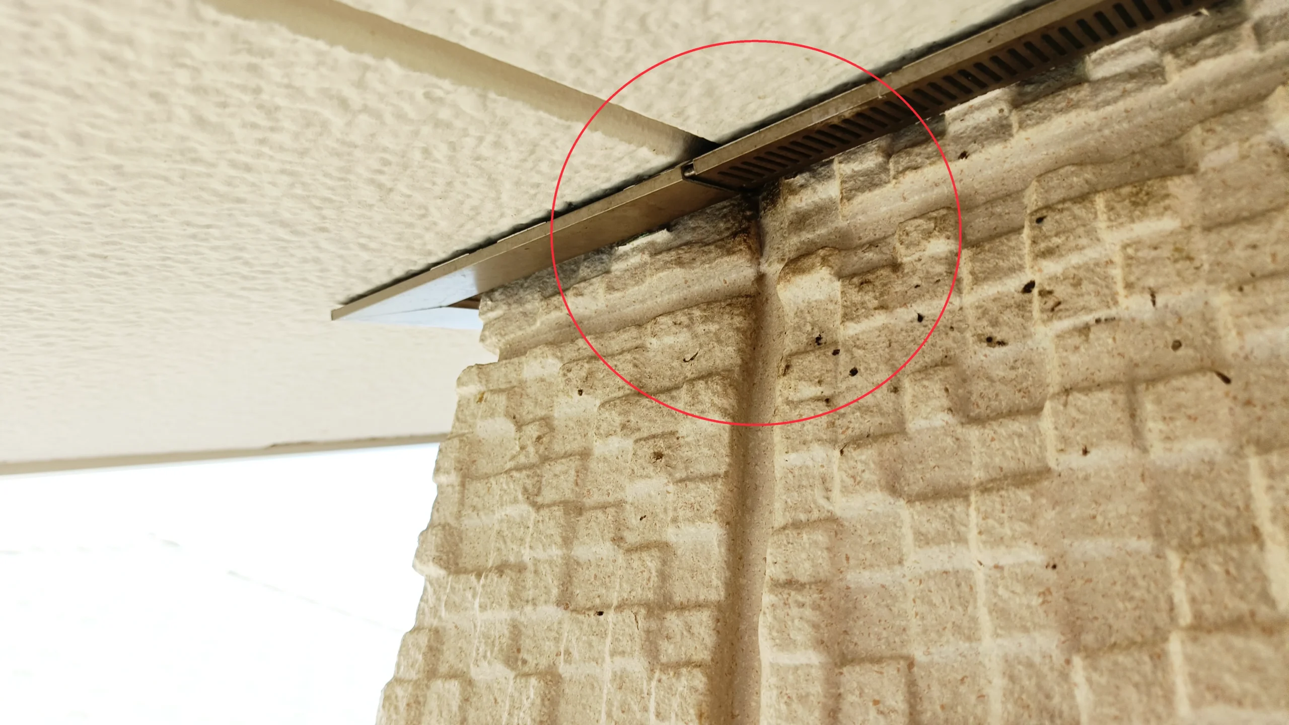 飯田市の外壁に残るコウモリの擦れ跡（黒ずみ）