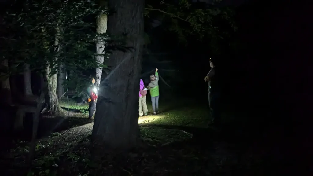 上高地の暗い森林内で行われている夜間コウモリ調査の風景。ヘッドライトを点灯した複数の調査員が、樹間に設置されたかすみ網の状況を慎重に確認している。