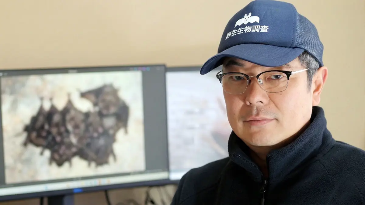 長野県のコウモリ・野生動物の駆除対策専門「かわほりプリベント」代表 山岸淳一