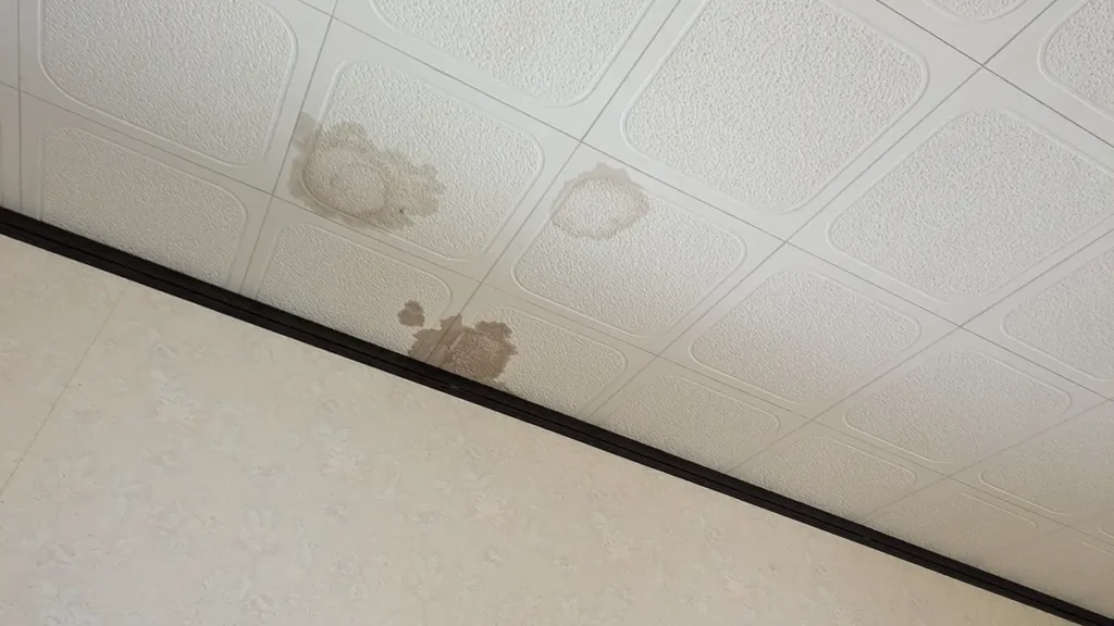 部屋の内側から見た、白い天井板にできた茶色いシミ。