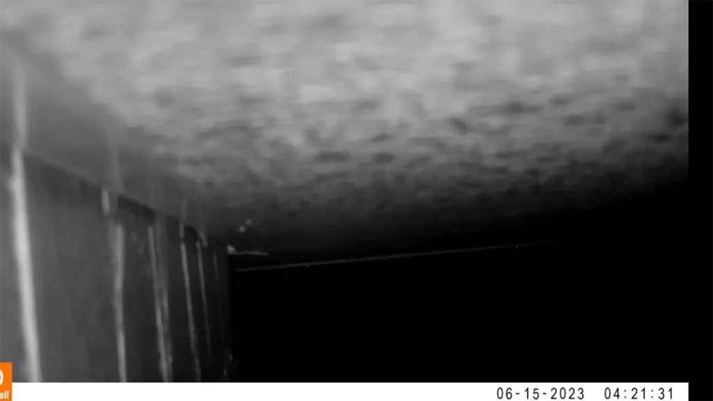 長野県のコウモリ被害と駆除を、現場写真で読み解くガイド 56 コウモリが完全に隙間から侵入し終わった直後の外壁。わずか3秒で姿を消した暗視カメラの記録