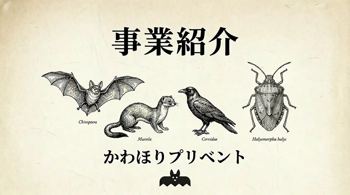 かわほりプリベントの事業紹介。コウモリ、イタチ、カラス、カメムシの博物画が描かれたアイキャッチ画像